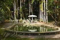 Hotel Rainforest Grove Cairns